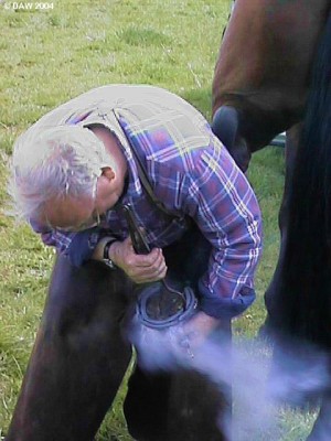 Horse Shoeing demonstration, 1998
