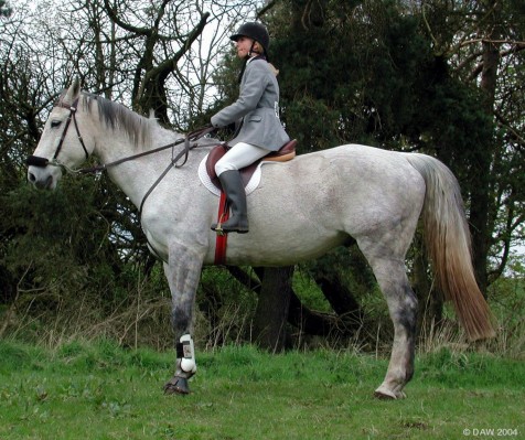 2002 Show, waiting patiently
