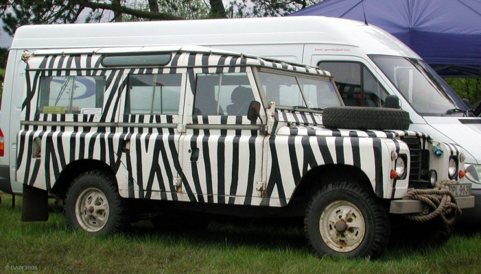 2003, Could this be Daktari visiting the Neilston show?
You have to be a certain age to know who Daktari was, its not worth the effort trying to explain it really :-)
