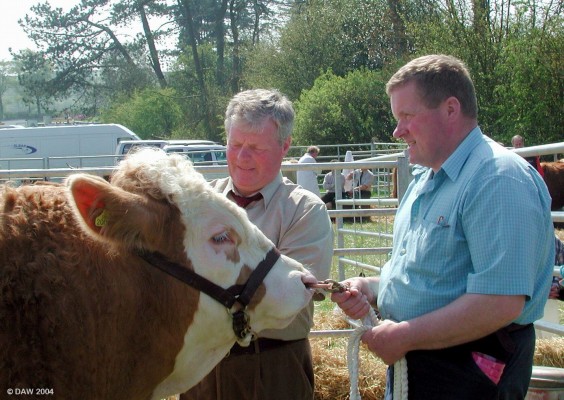 2004, preparing for the arena
