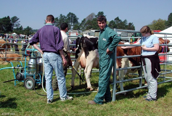 2004, Milking machine
Its always a good idea to bring your portable milking machine you just never know when you might need it.
