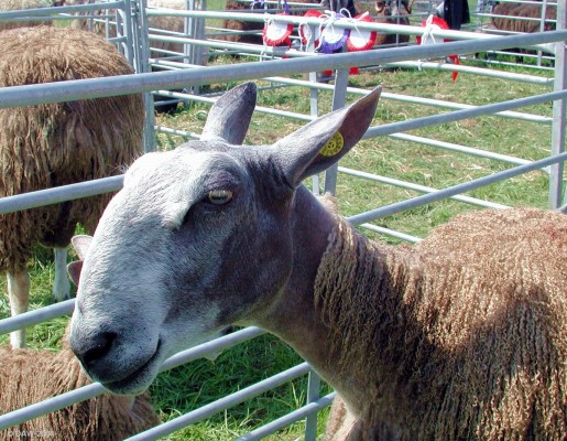 2004, I might not look very clever but at least I can grow my own jumper
