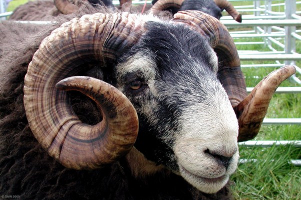 2005, Like my earings?
