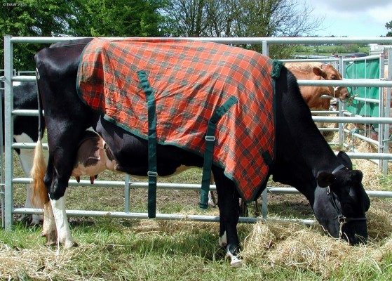 2005, everybody was prepared for the rain
