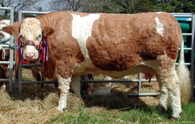 2005, One of the prize winners
