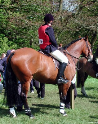 2005, waiting in turn for the horse trials
