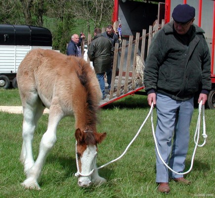 2005, is my neck short or are my legs too long?
