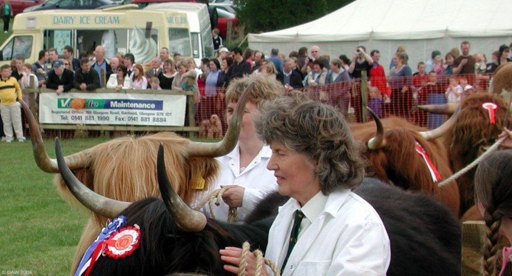 2006, mind the horns
