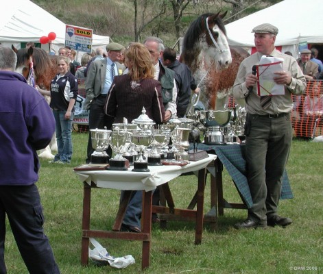 2006, grand prize giving ceremony
