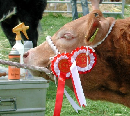 2007, Moistuirize me please....
