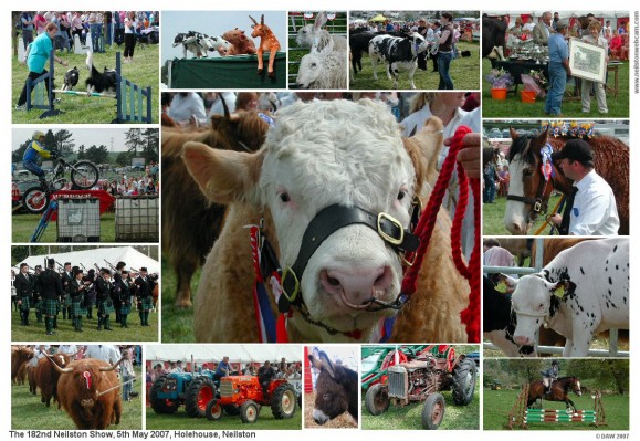 2007 Neilston Show montage

