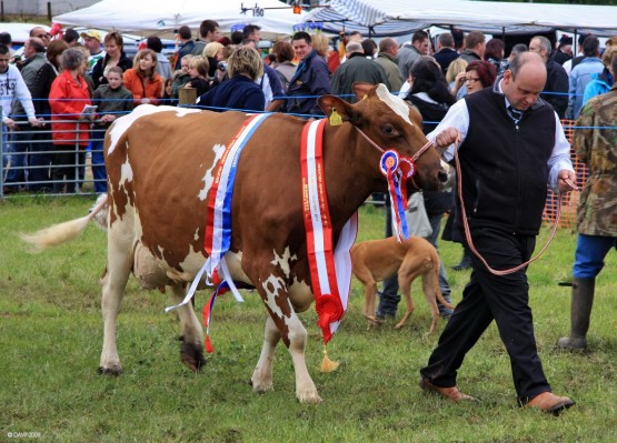 2008, Champions on parade
