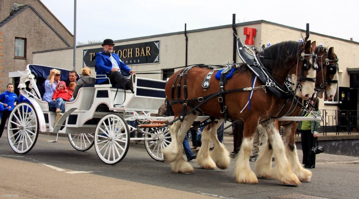 2008, The Jackton Clydesdales
The Jackton Clydesdales pass The Killoch Bar in the parade through the villages on the way to the show ground at Holeshouse.
