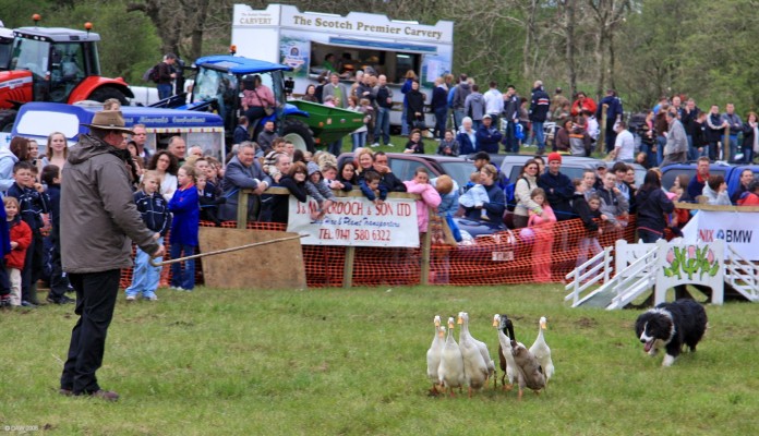 2008, The Drakes of Hazard
 
