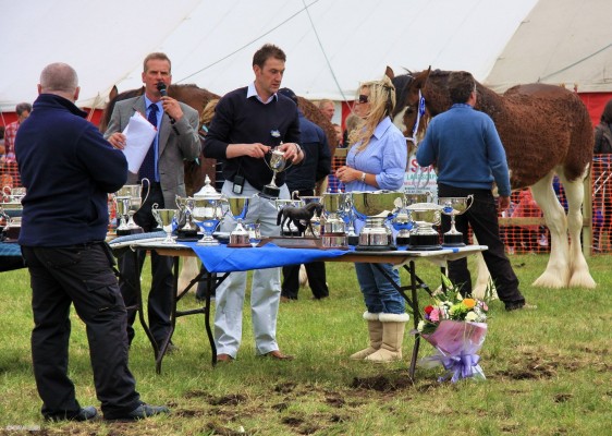 2008, prize giving ceremony
Prize giving in the main ring with an alleged celebrity.
