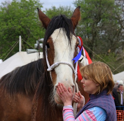 2010, Grand Parade, Heavy Horses
