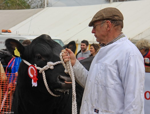 2010, Here's looking at you, kid
