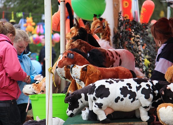 2010, Cuddly animals
How much is that doggy in the window?
