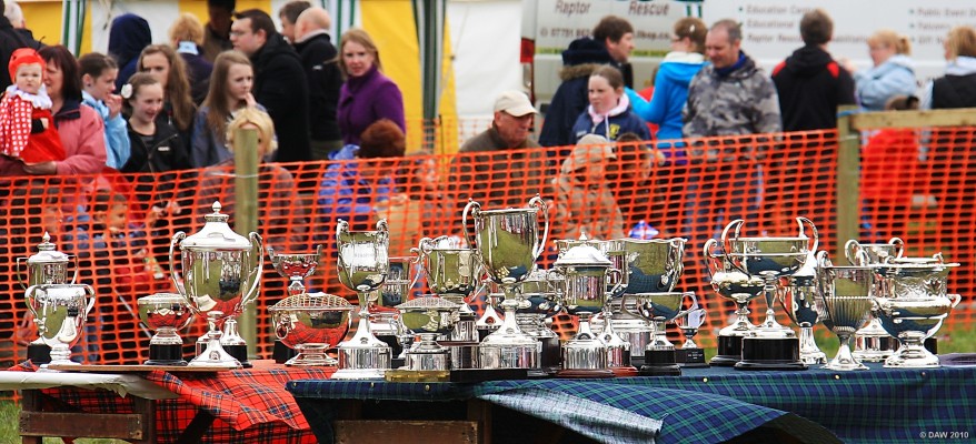 2010, winners cups
Its all about taking part.... but winning one of these is obviously a bonus.
