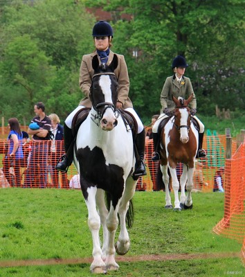 2011, Horses of any colour you want
