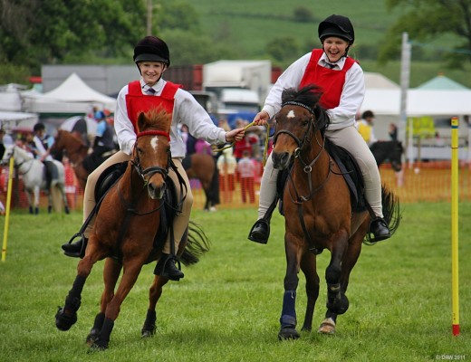 2011, The Pony Club
