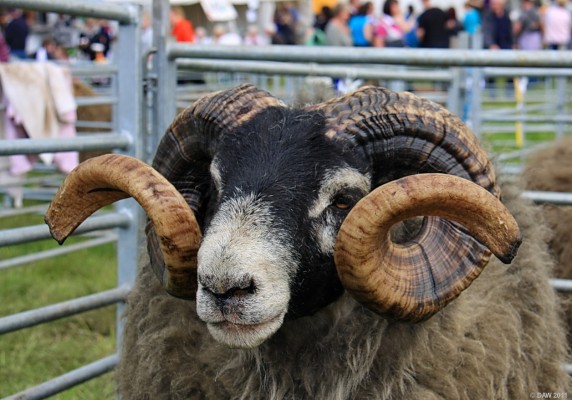 2011, Don't mess with me
