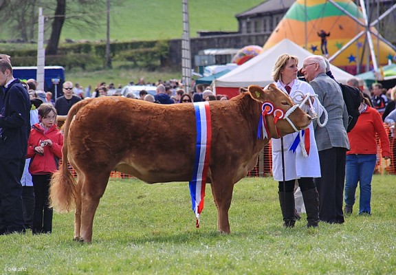 2012, The Champion of Champions
