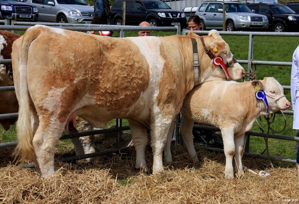 2012, A moment of tranquility away from the main ring
