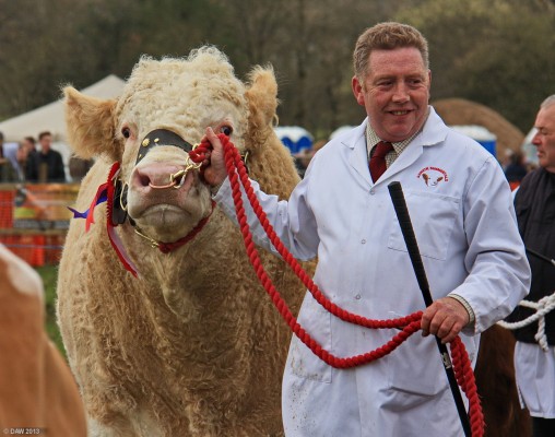 2013, Champion of Champions, Grand Parade
