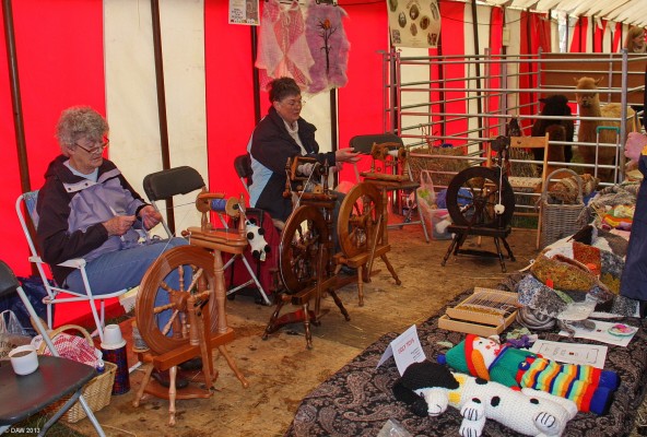 2013, Spinning a yarn
Notice the Llamas watching closely in the background
