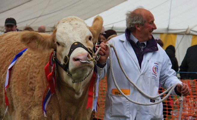 2014, Grand Parade, Champion of Champions
