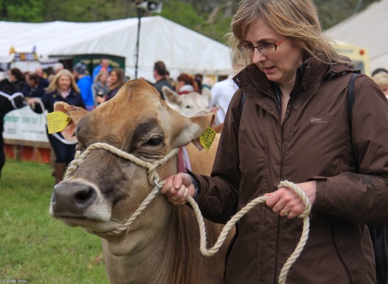 2014, Grand Parade, top marks for colour coordination
