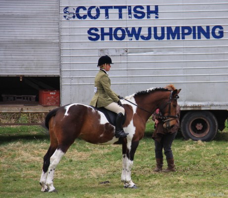 2015, Horse jumping, or rather standing
Frankly, there was a cold wind and I couldn't be bothered waiting till something started happening at the horse jumping so no photos of a horse actually jumping this year!
