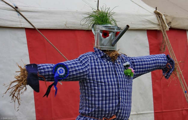 2015, Scare Crow competition
