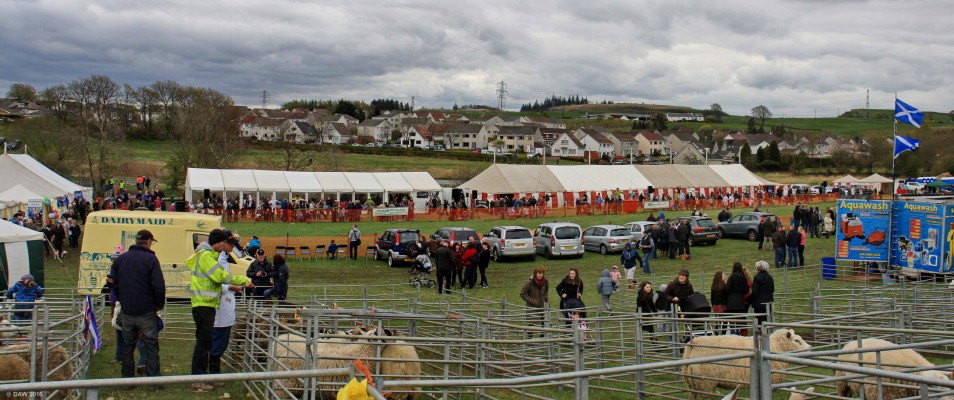 2015, Over view of Show ground
