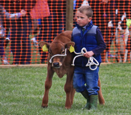 2015, small calf, small boy

