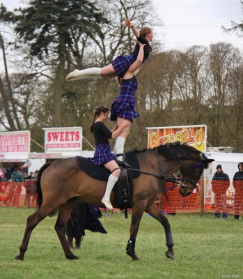 2015, Riders of the Storm
Worth pointing out the horse is actually moving at a brisk walking pace here.
