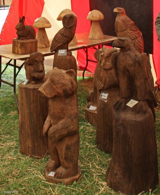 2016, first Bear of the Season
