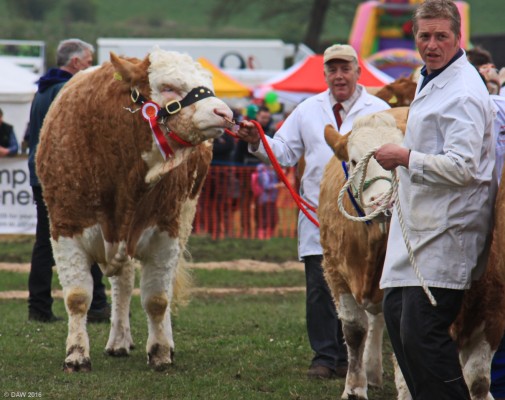 2016, Neilston Show, Grand Parade
