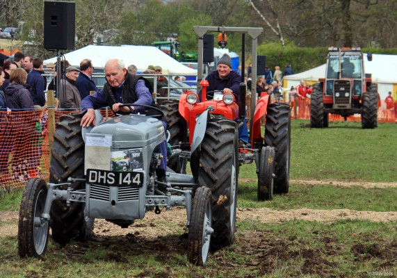 2016, Vintage tractors
The vintage tractors got an early drive round the main ring this year, usually they are last to make an appearance.  An old Ferguson leads the way here.
