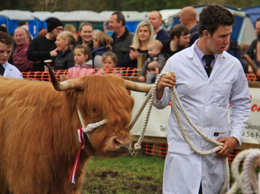 2018, Neilston Show, Grand Parade
