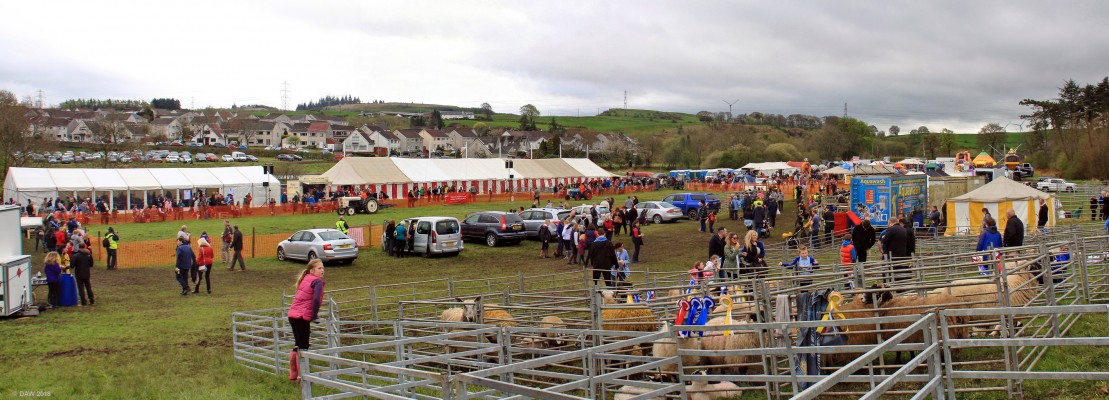 2018, Over view of the show ground at the 2018 Neilston Show
