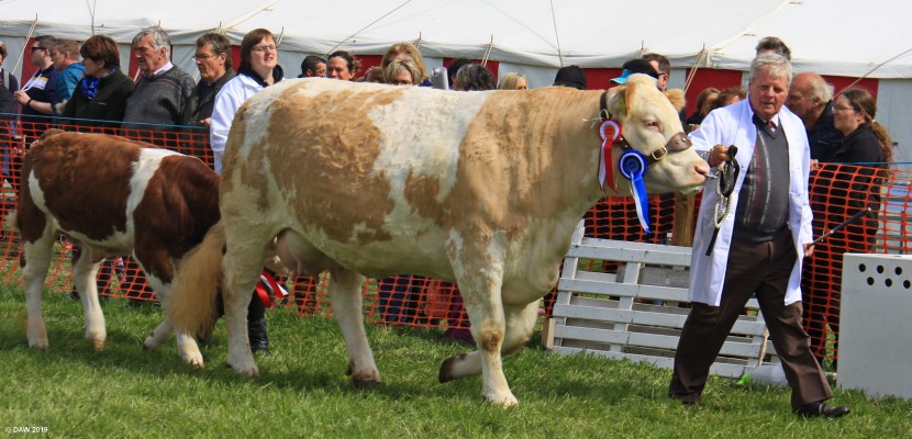 2019, Neilston Pipe Band leads the Grand Parade
