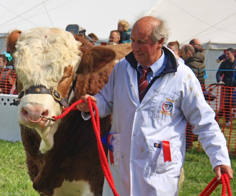 2019, Champion of Champions, Grand Parade
