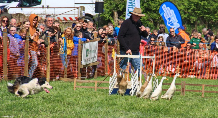 2019, The Drakes of Hazzard
A welcome return of The Drakes of Hazzard to the show, last seen here in 2008.
