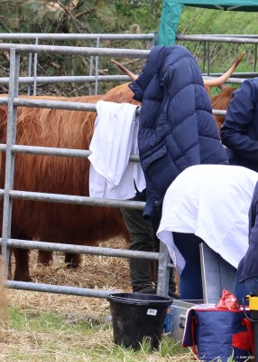 2024, no publicity please
