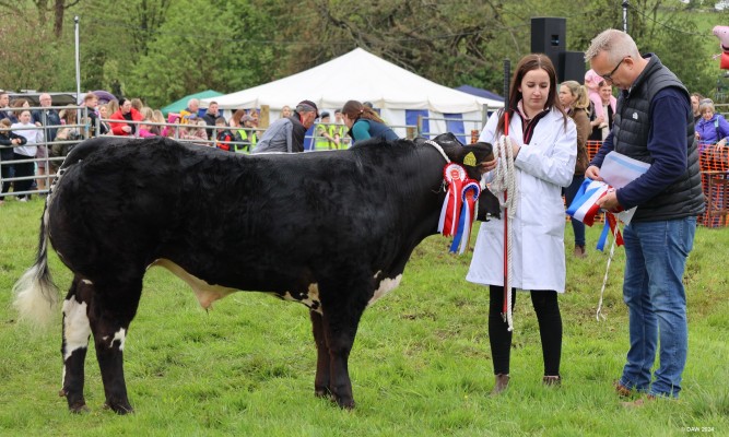 2024, Champion of Champions
