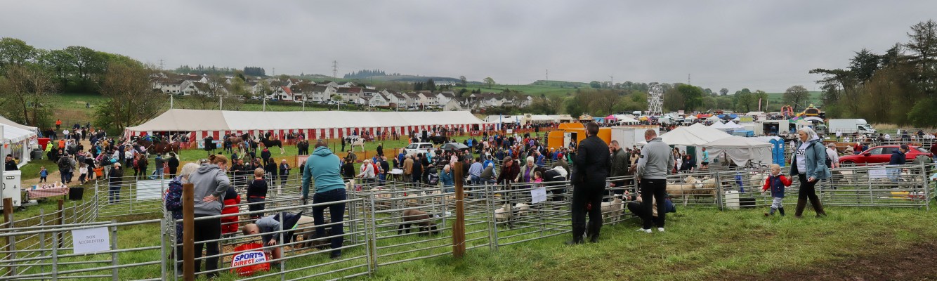 2024 Panorama of show ground taken around mid-day on 4th May 2024
