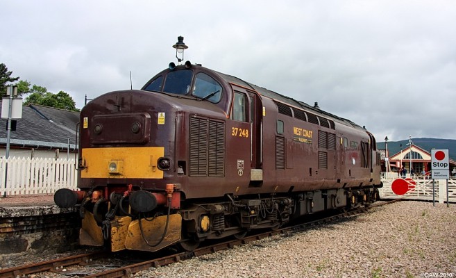 An old Class 37 takes a rest in a siding at Aviemore
The Class 37 was a diesel electric built in the early 1960's.  Weighing over 100 tons and with a power output of 1.3MW it has been a work horse on the UK rail network for 40 years . This particular example, pictured in 2008 at Aviemore, has since gone to one of the great [url=http://www.thegrowlergroup.org.uk/248/37248_home.html/]preservation societies [/url] in the sky.
