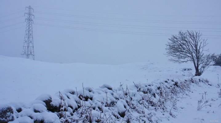 AY36
AY36 finds comfort in the company of a tree in the bleak mid winter.  [url=http://streetmap.co.uk/map?X=246722&Y=657044&A=Y&Z=120/] Map location. [/url]

